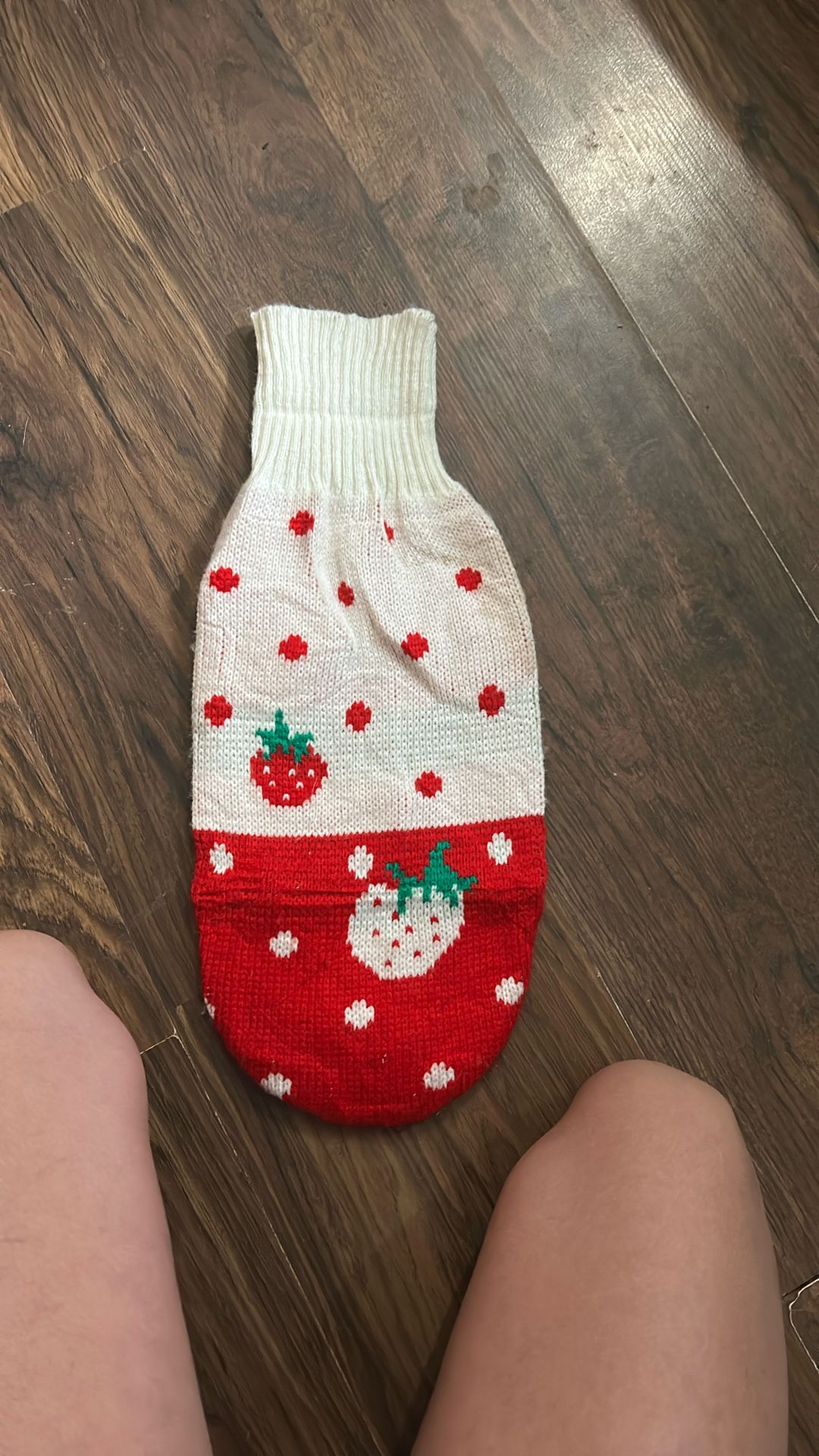 Puppy sweater