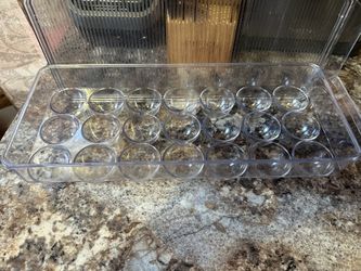 Egg Holder Container 