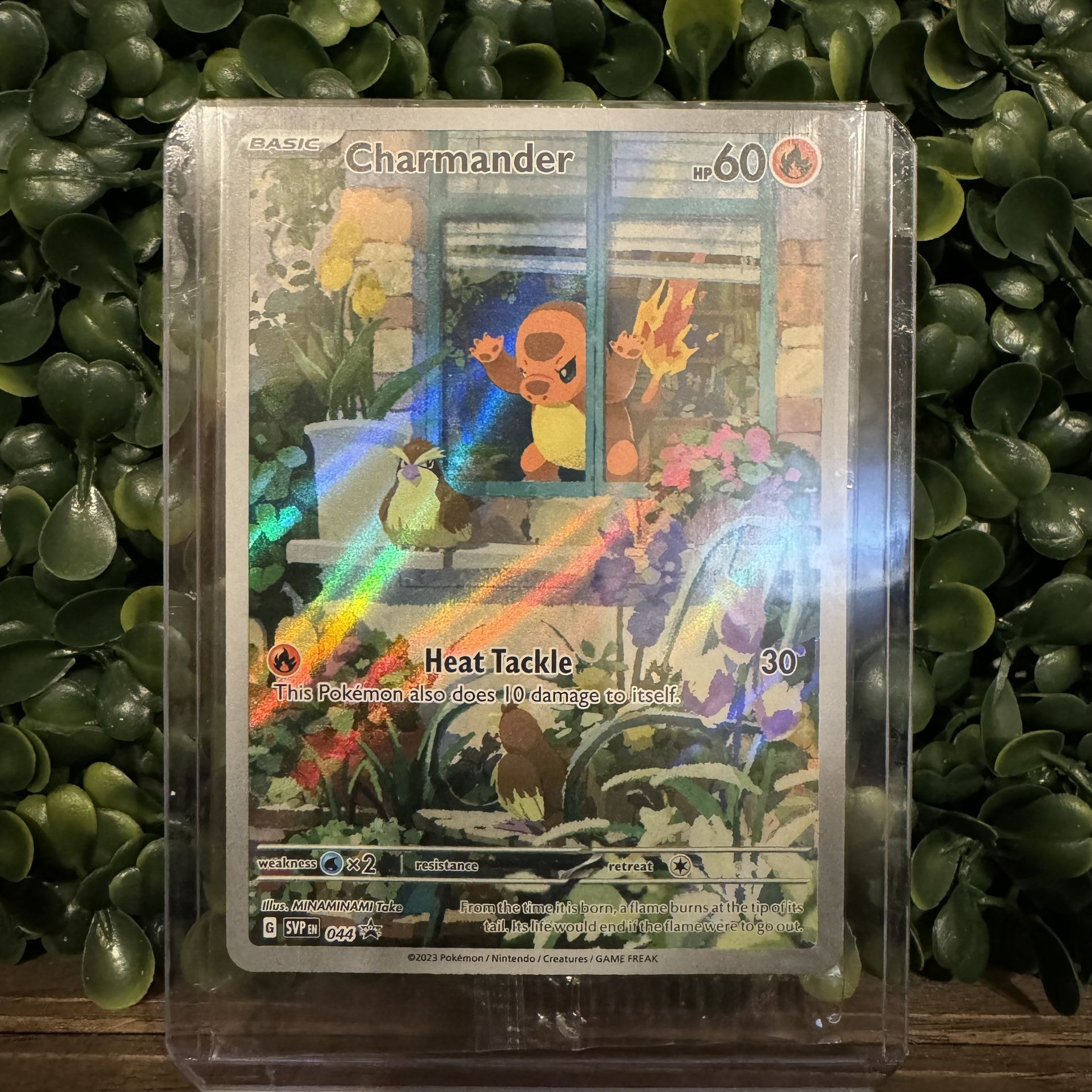 Charmander 044 Promo Sealed SV Black Star Obsidian Flames Pokemon TCG Scarlet & Violet IR Illustration Rare