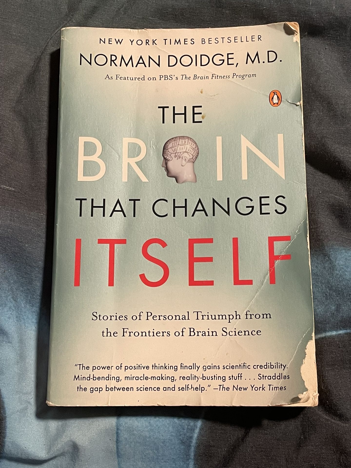 Brain That Changes Itself : by Norman Doidge (2007, Uk-B Format Paperback)