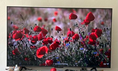 TCL 55” Google TV
