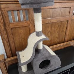 CAT RESORT