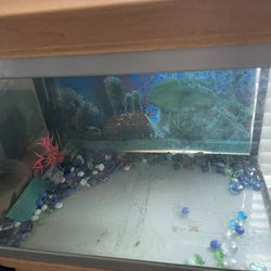 Fish Tank  22 And 45 