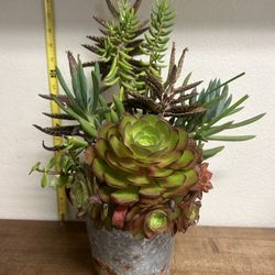 Succulent Plant Arrangement: Great Mother’s Day Gift! 
