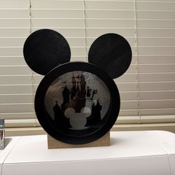 Disney Travel Fund bank 