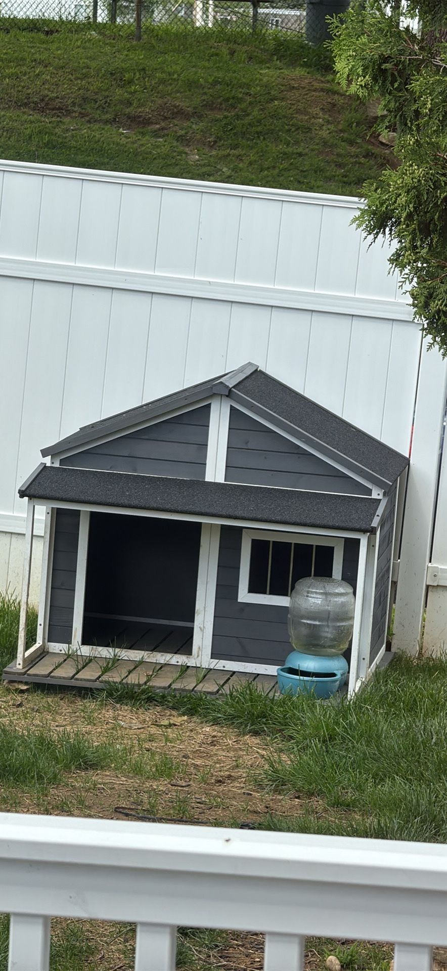 Dog House