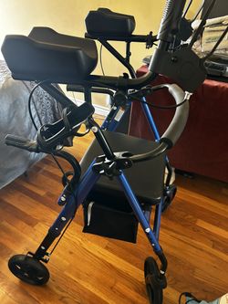 Adult Walker