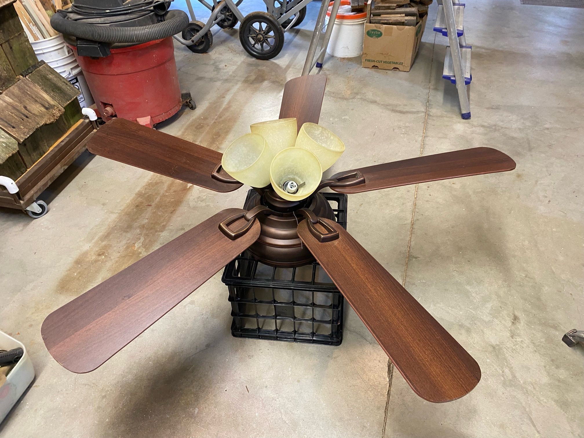 Ceiling Fan With Lights.