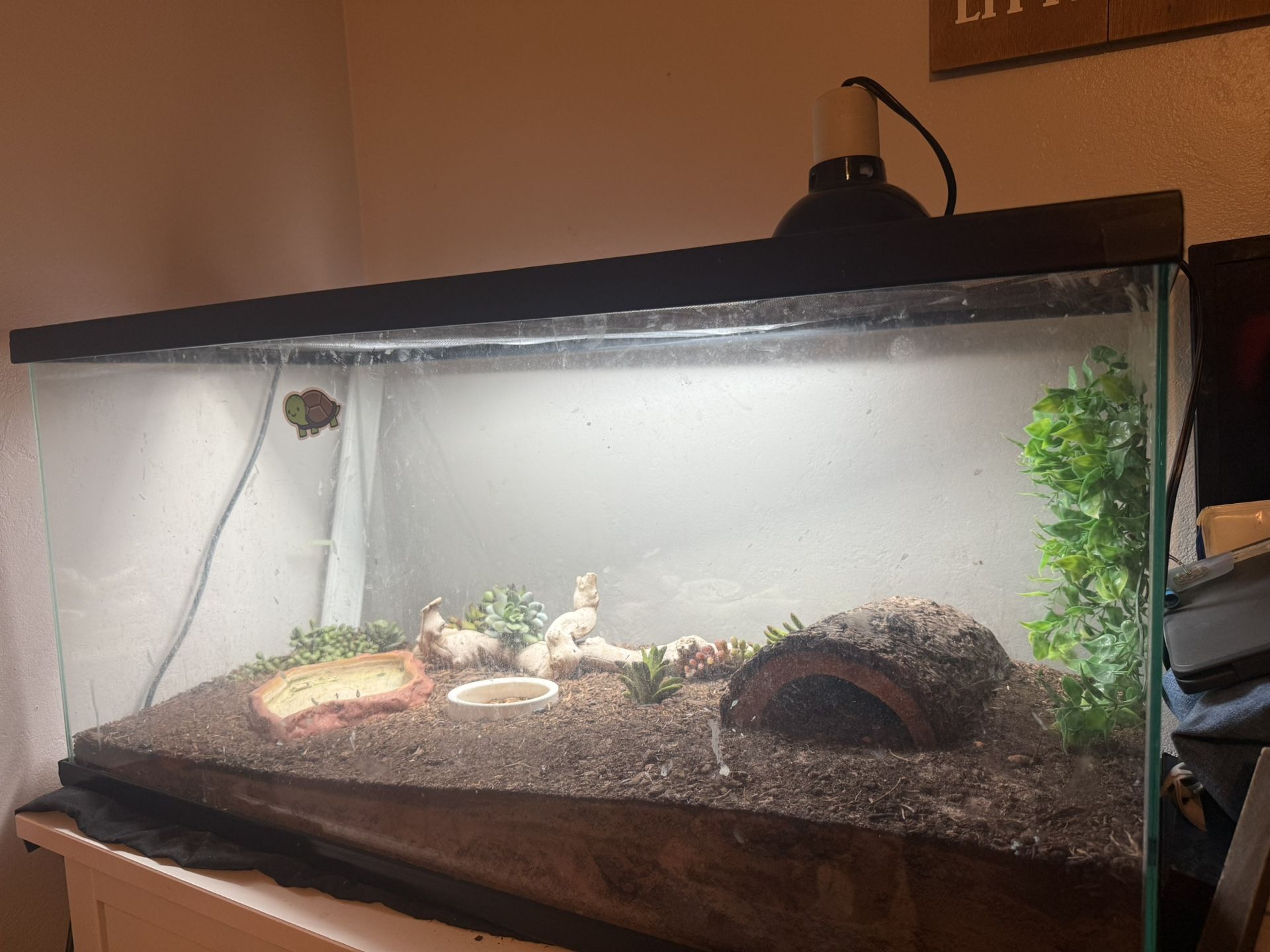 Reptile Tank