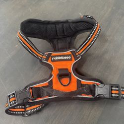 Harness For Small Dogs 