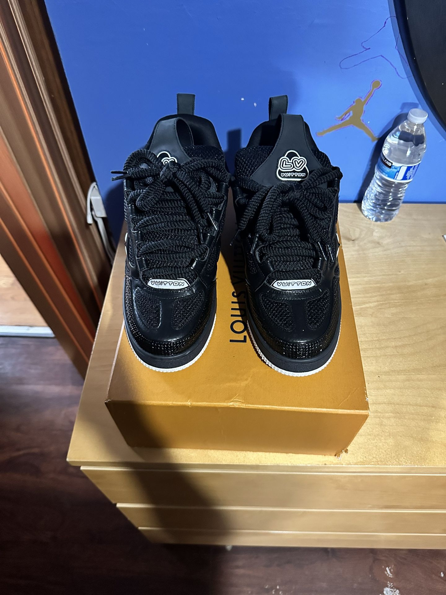 Louis Vuitton skate