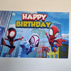 Spiderman Birthday Decorations 