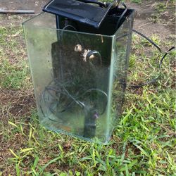 5 Gallon Tall Aquarium