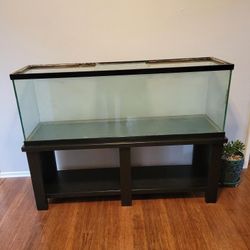 100 Gallon Fish Tank and Stand