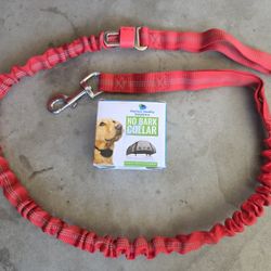 Dog Leash + Stop Barking Collar 