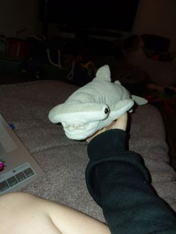 Hammerhead Shark plushie