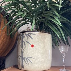 Potted Plant With Bamboo Design 