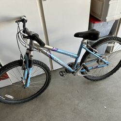 26” Shwinn Speed Bike
