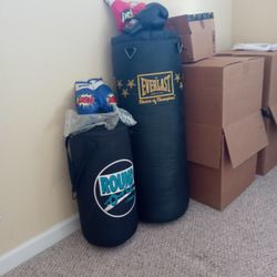 Adult Punching Bags