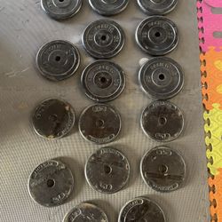 Weights Plates.       120 Dollars 