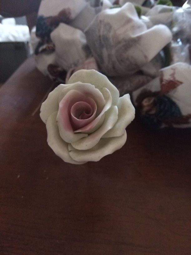 10 White And Pink Bone China Roses Italian Vintage