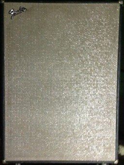 Fender 100w Bass Cab