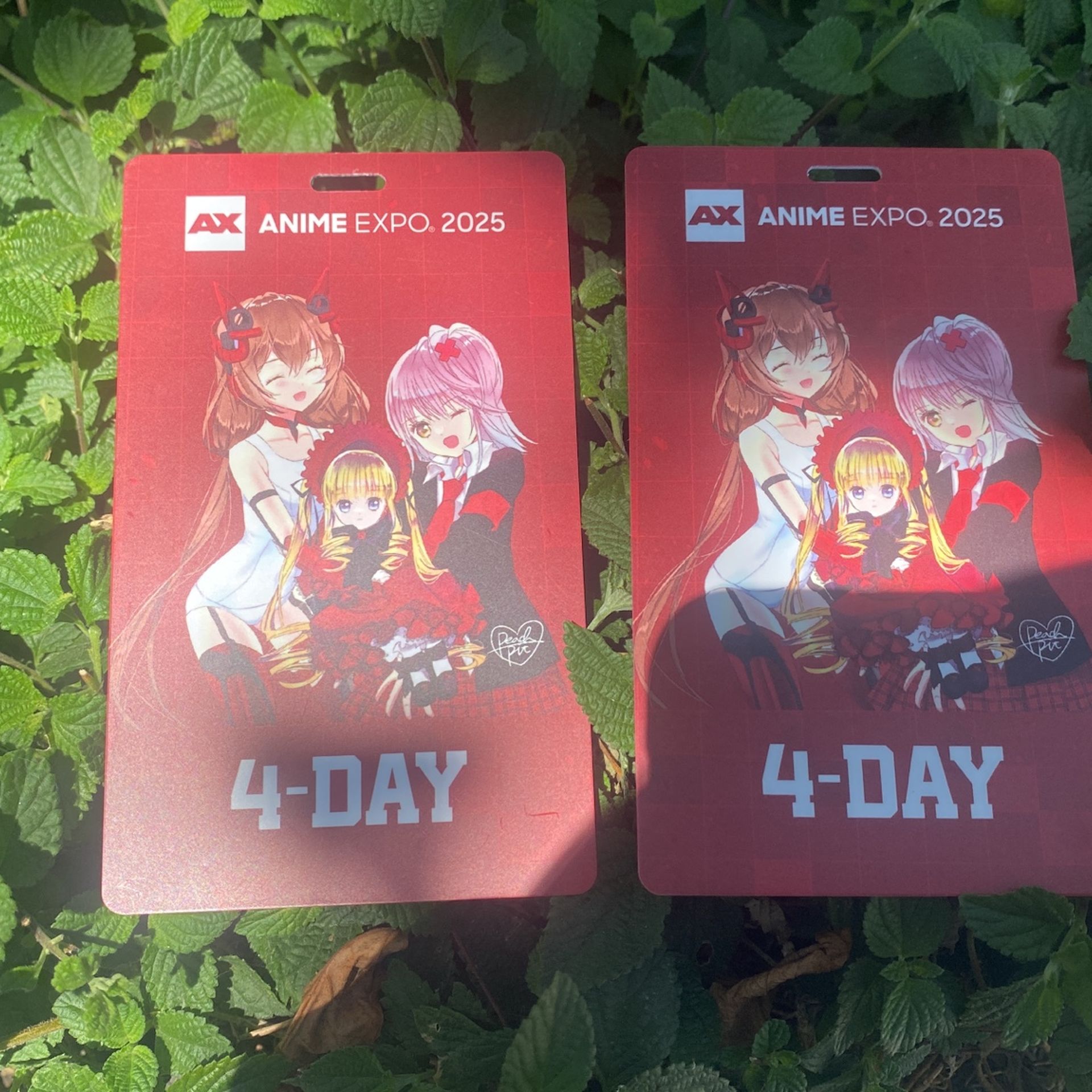 Anime 4 Day Badges For Sunday