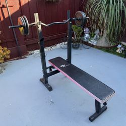 Weight Bench