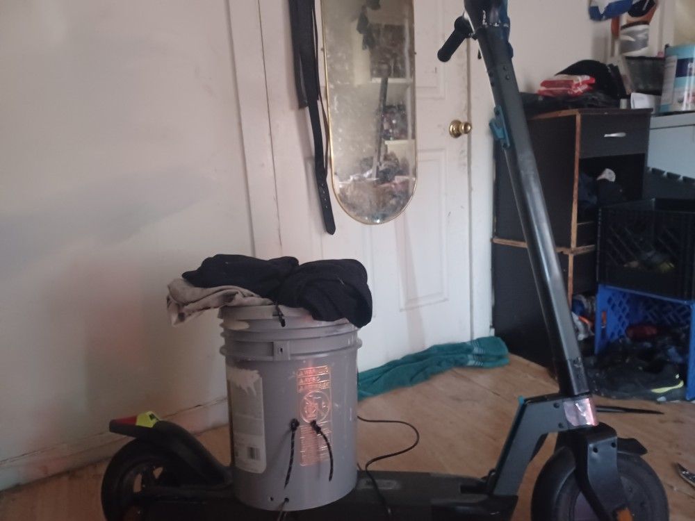 Gotrax Scooter 20 Mile Hr 20 Mile Range
