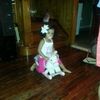 Massiel