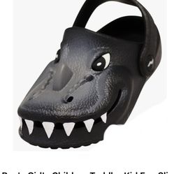 Slip On Sandal Slipper Shoe 3