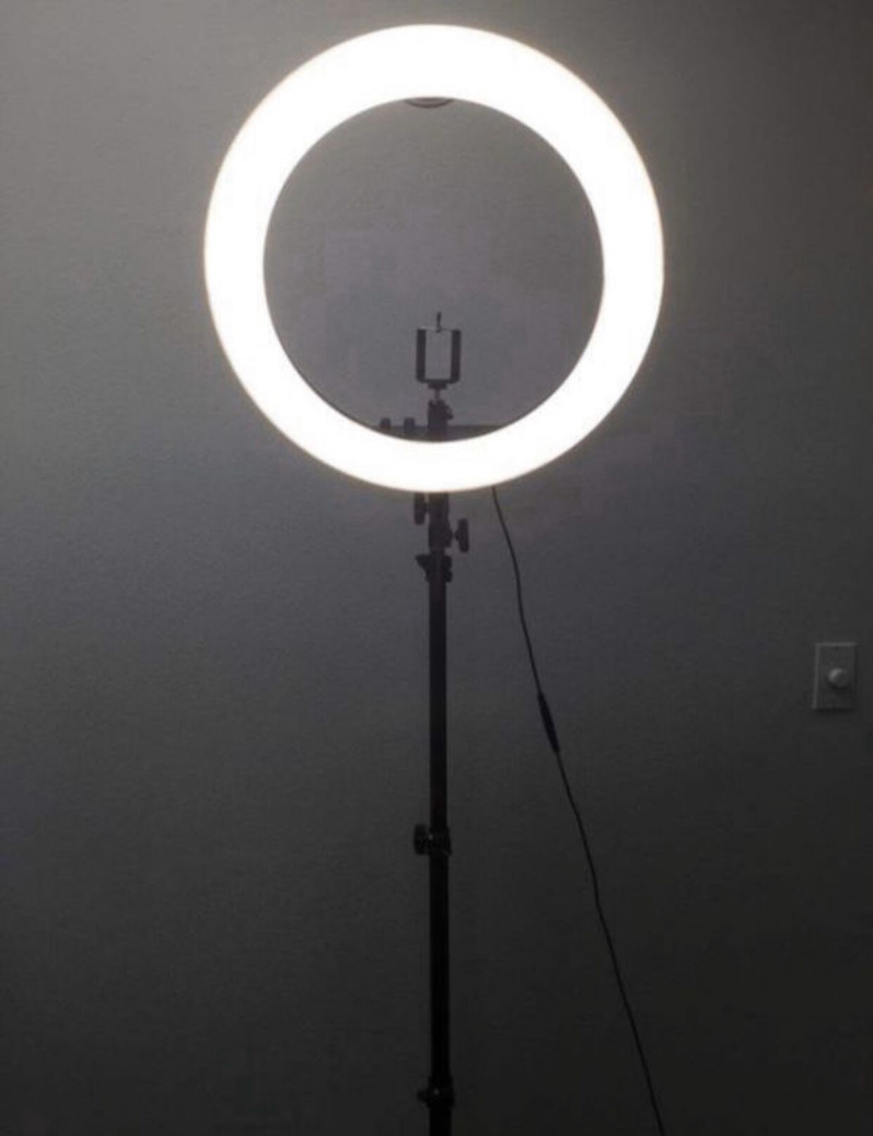 19" Photography Dimmable Ring Light w/ Stand, Ball Head, Phone Holder