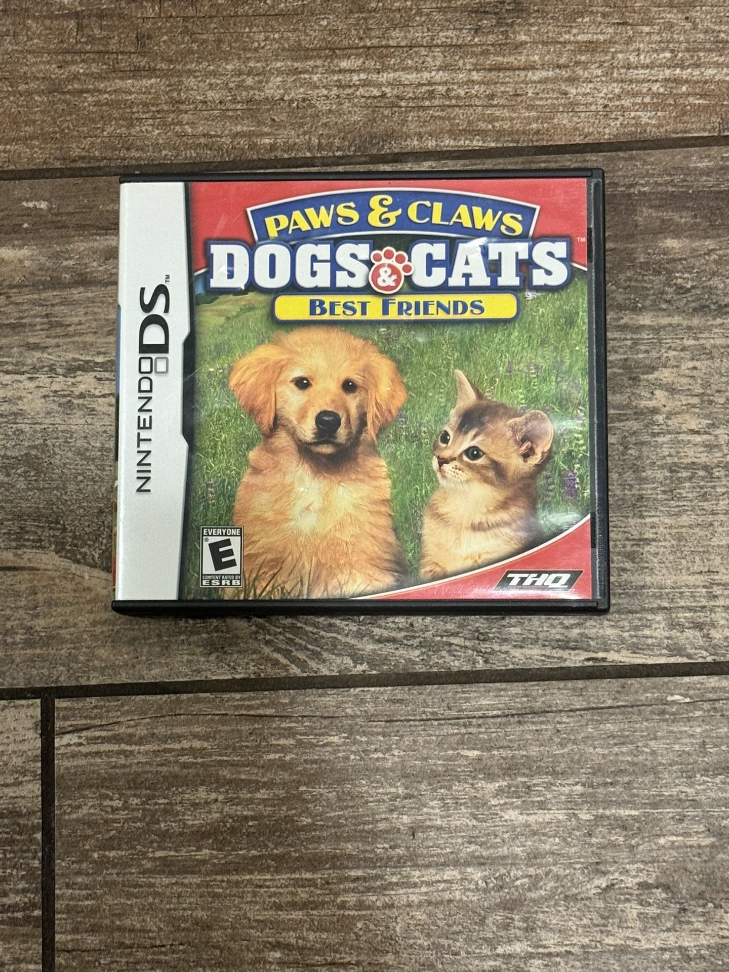 Nintendo DS Game