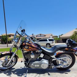 2003 Harley Softail 100th Anniversary - 11k Miles -- Harley Custom Paint