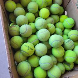 Tennis Balls 