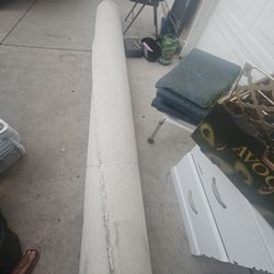 Carpet Size 10 X 11 Ft Is Cleaned 