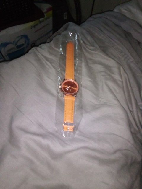 Lin Times Women's Platinum Quartz Watch