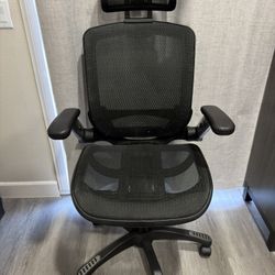 Ergonomic Office Chair