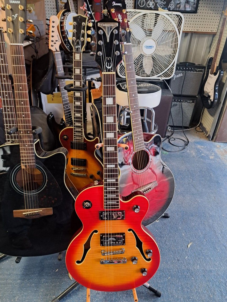 Epiphone Alleykat アレイキャット セミアコ Epiphone Alleykat アレイ