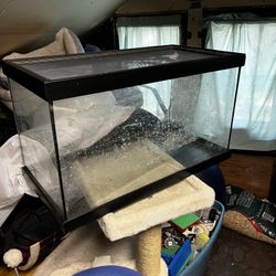 10 Gallon Tank