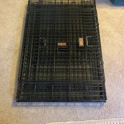 Used Kong Dog Crate- Large