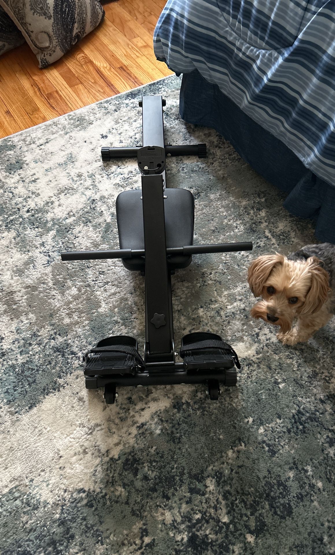 IHomey Foldable Rowing Machine FREE