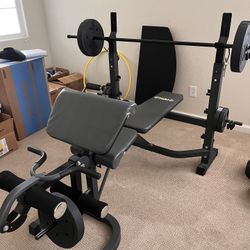 Workout Bench w/weights