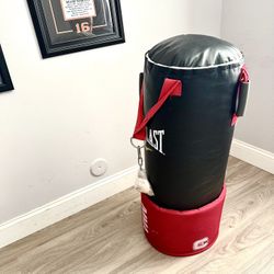 Everlast Omnistrike MMA 80 Pound Gym Boxing Punching Bag