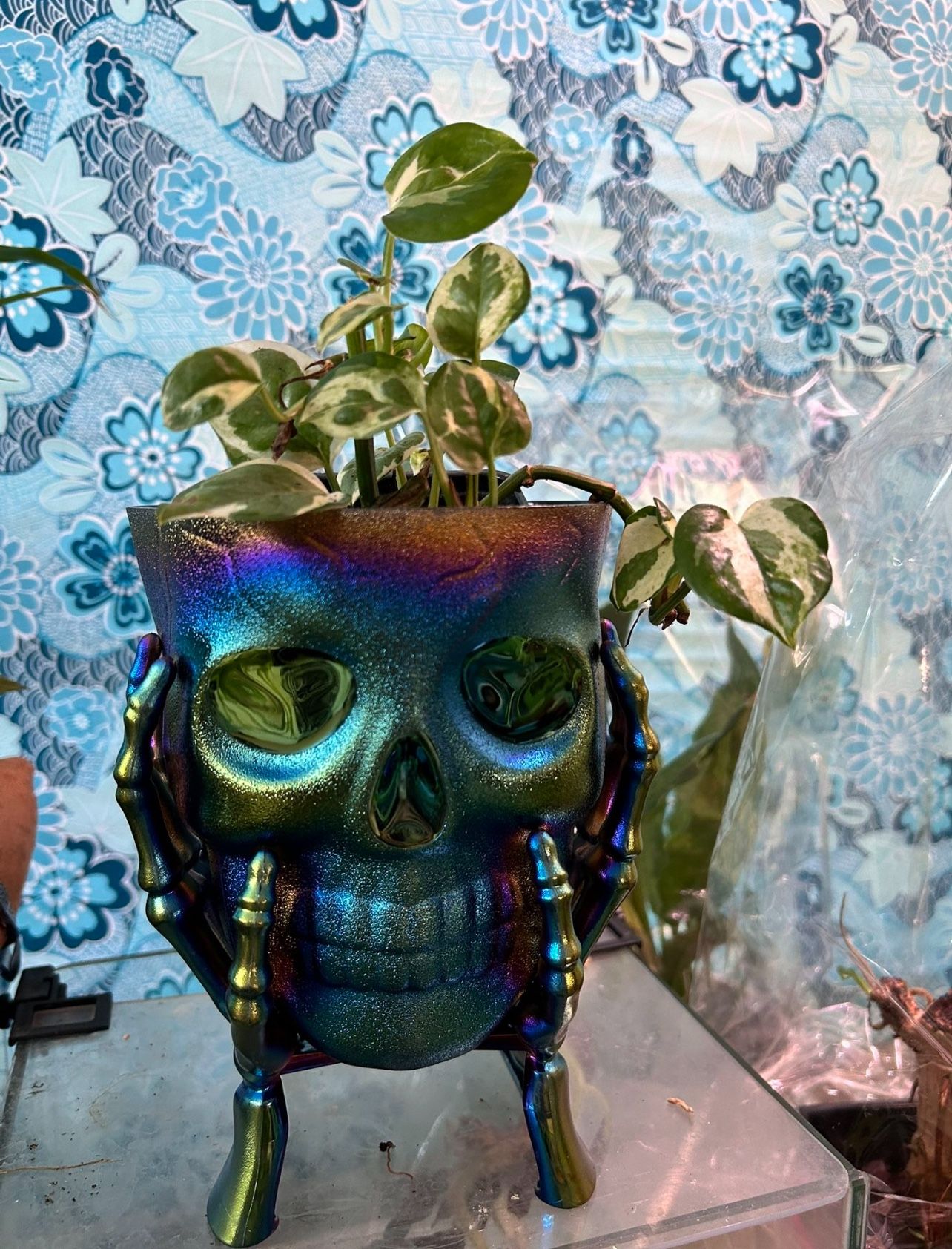 Skull Planters! Plant Pot iridescent . 7”X5” Made Of Resin plant, not included