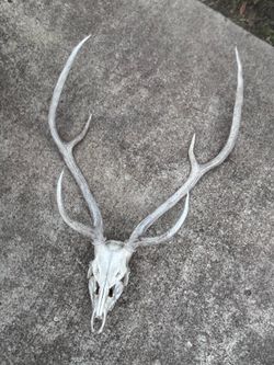 Axis European mount