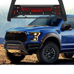 Ford F-150 Bull Bar Brush Guard
