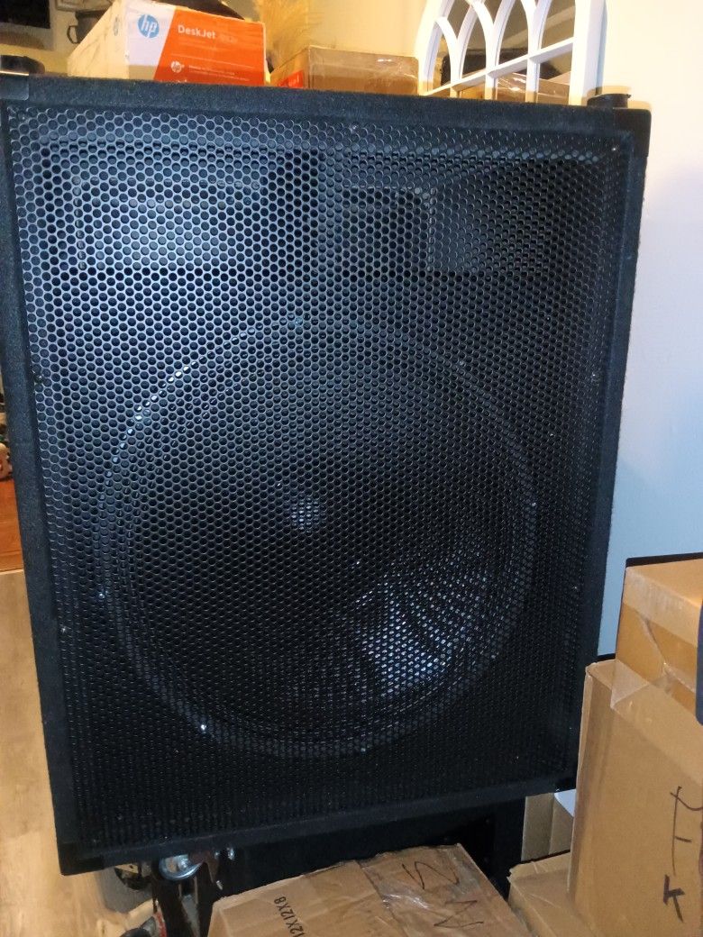 2 Seismic Audio Subwoofer