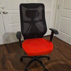 Beautyrest Duo-EX Ergonomic Mesh Swivel Computer Chair