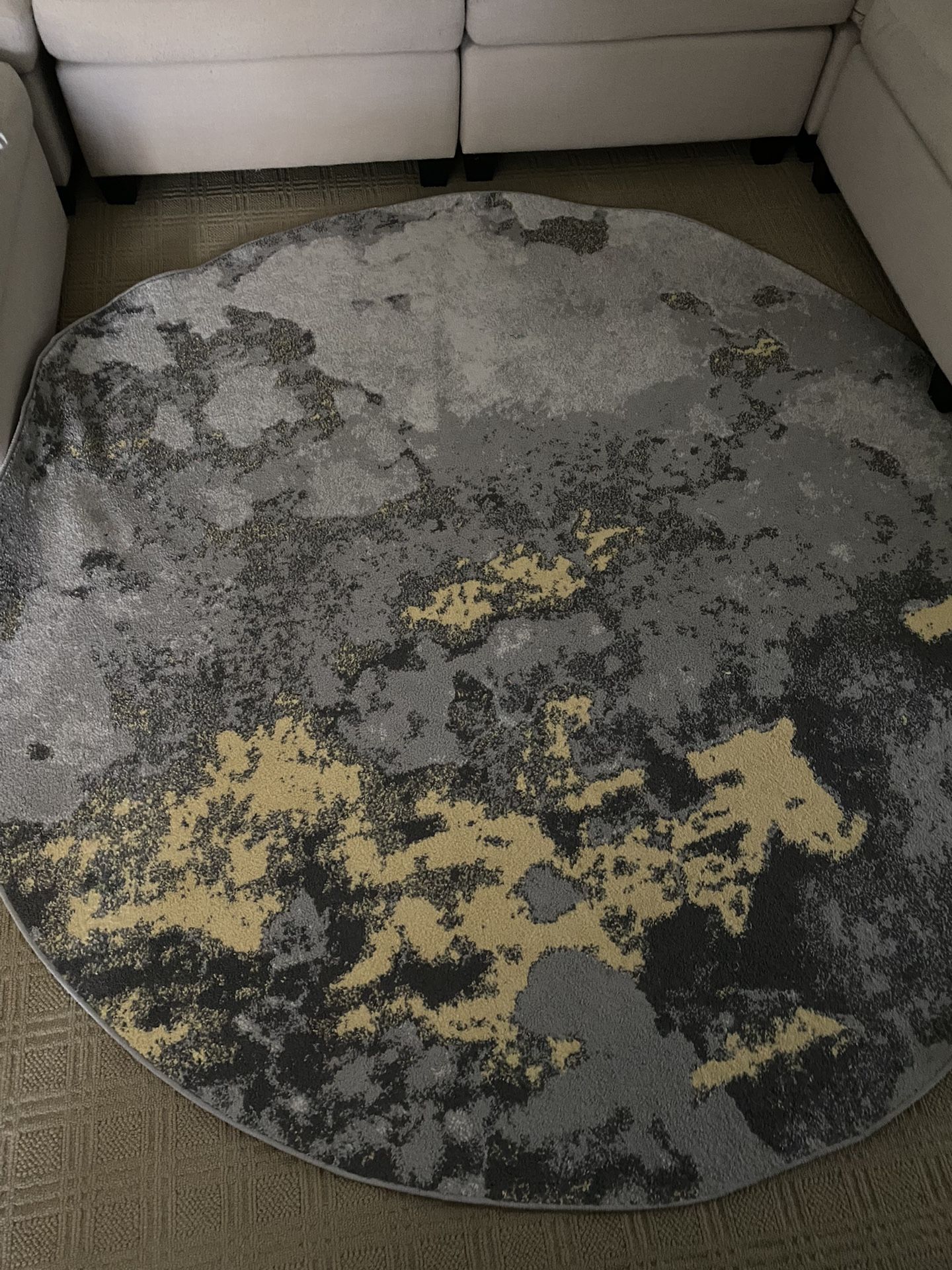 $40 - Safavieh Circle rug